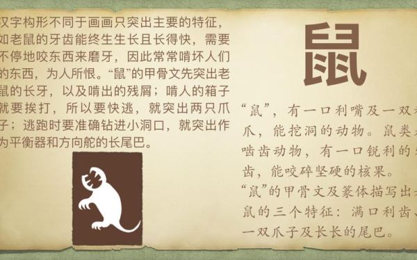 梦到老鼠是什么意思_梦到老鼠预示什么