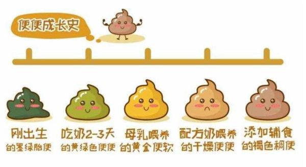 八个月宝宝拉绿色大便怎么回事_正常还是生病