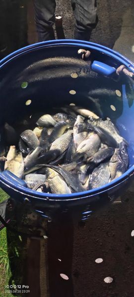 钓鱼真实图片大全图_如何辨别真假渔获