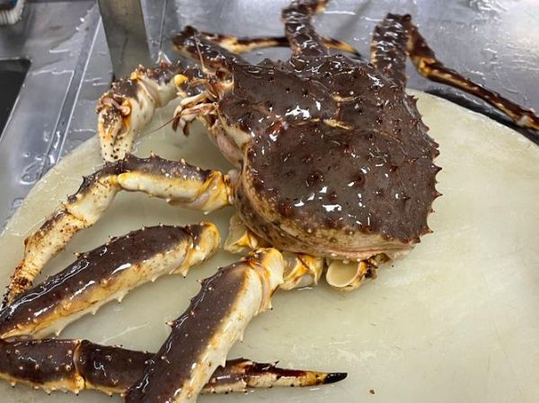 帝王蟹图片大全_帝王蟹怎么挑选