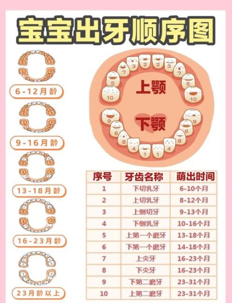 宝宝出牙顺序图时间表_几个月开始长牙正常