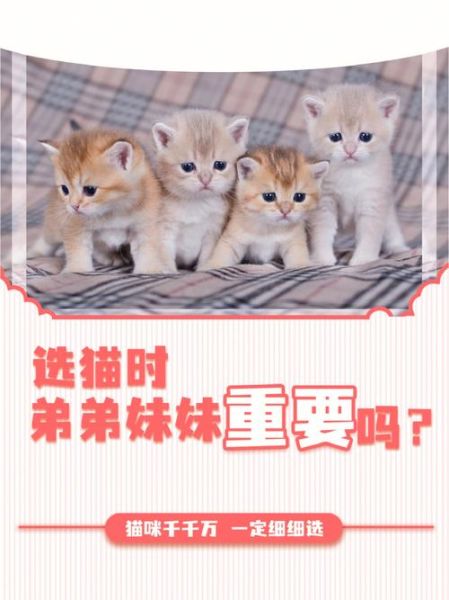 梦到弟弟妹妹是什么意思_梦到弟弟妹妹预示着什么