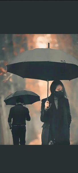 唯美伤感图片大全_怎么找高清无水印素材