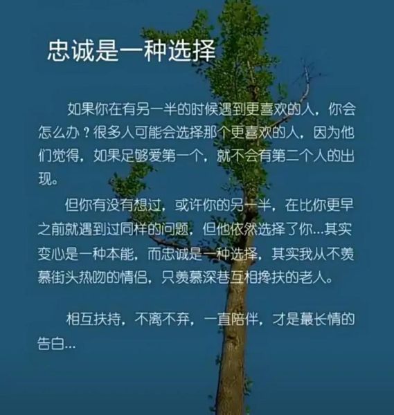 忠诚图片大全_如何挑选高清素材