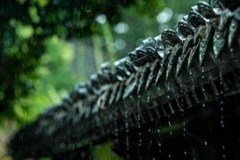 孕妇梦到下雨是什么意思_孕妇梦见下雨生男生女