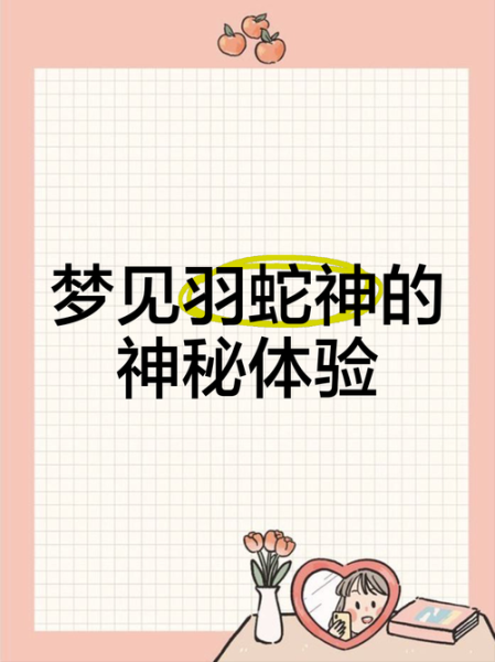 梦到羽毛是什么意思_梦见羽毛预示什么