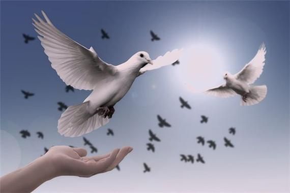 梦到车站是什么意思_梦见火车站代表什么