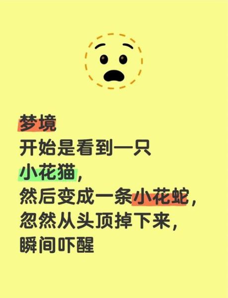 梦到蛇咬猫是什么意思_蛇咬猫梦境解析