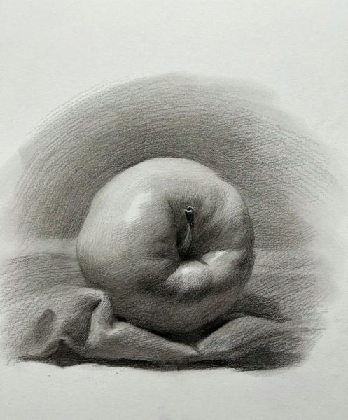 素描图片大全大图_初学者如何临摹