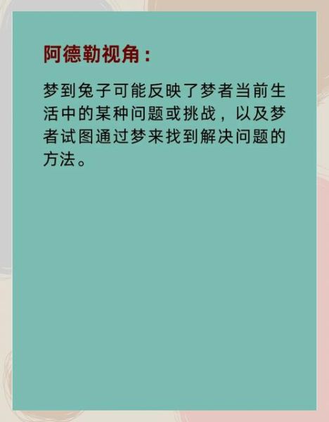 梦到兔子是什么征兆_梦见兔子吉凶解析