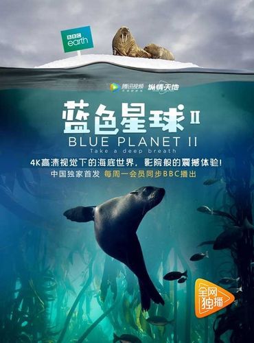 蓝色星球2迅雷下载_哪里能看高清完整版