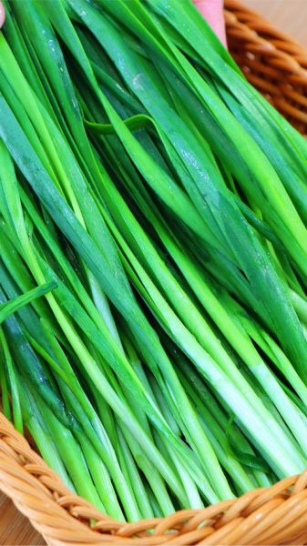 韭菜图片大全大图_韭菜高清图鉴