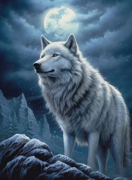 狼图片大全大图_高清狼照片哪里找