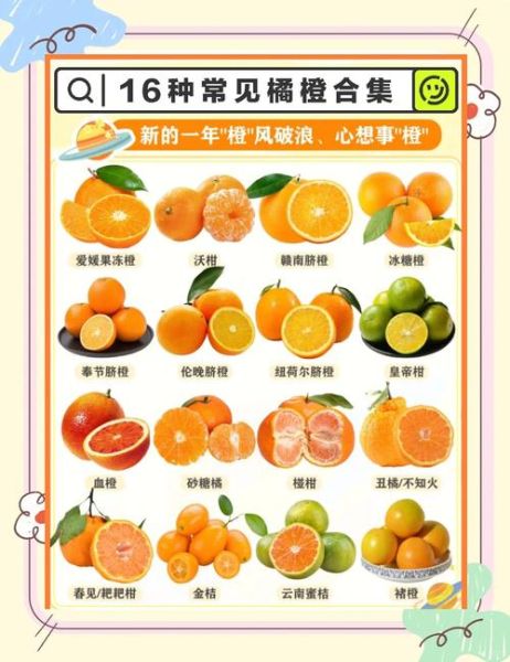 孕妇梦到橘子是什么意思_孕妇梦见橘子生男生女