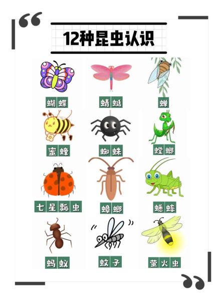 昆虫图片大全和名称_如何快速识别常见昆虫