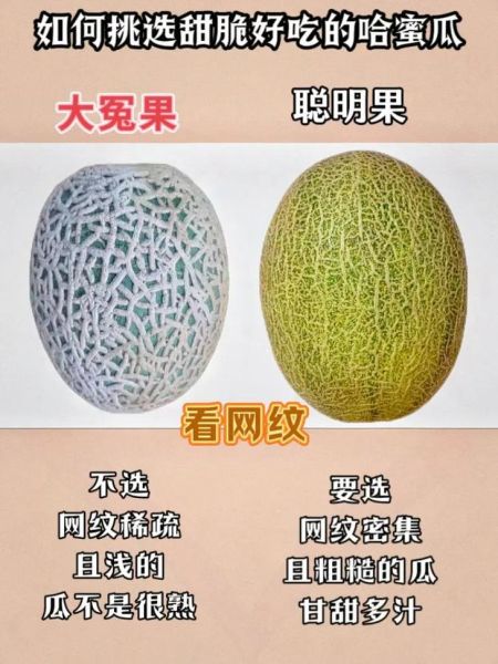哈密瓜图片大全大图_如何挑选高清哈密瓜图