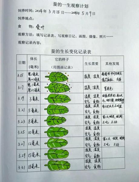 蚕宝宝是天才吗_蚕宝宝智商有多高