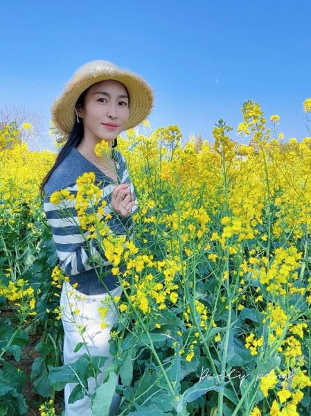 油菜花图片大全_油菜花高清壁纸怎么拍