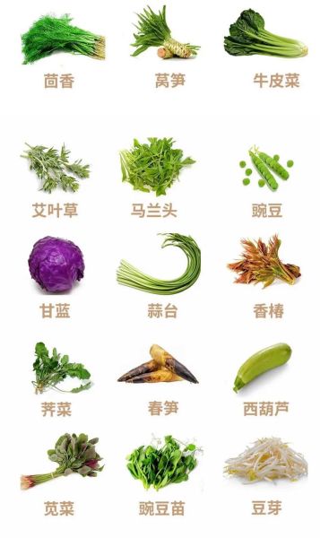蔬菜图片大全有哪些_常见蔬菜高清图鉴