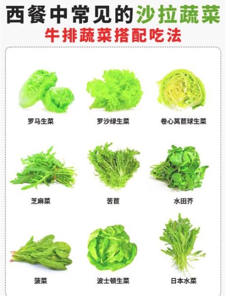生菜图片大全_生菜品种怎么区分