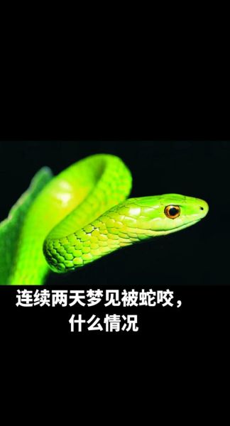 梦到孩子被蛇咬是什么意思_孩子被蛇咬梦境解析