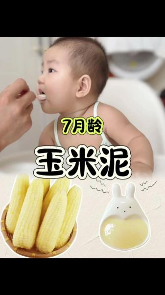 八个月宝宝能吃玉米泥吗_玉米泥怎么做才安全