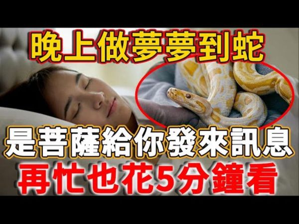 梦到别人抓蛇是什么意思_梦见别人抓蛇好不好