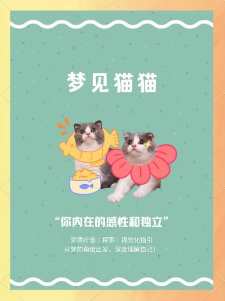梦到一窝猫_周公解梦准吗