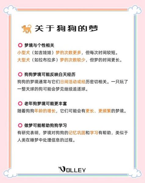 梦到几条狗_代表什么预兆