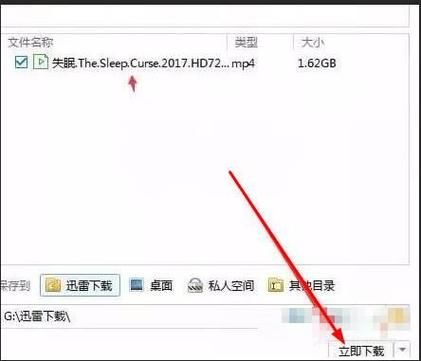 种子迅雷下载怎么用_迅雷种子文件打不开怎么办