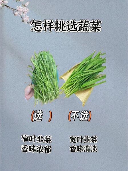 菜图片大全_如何挑选高清素材