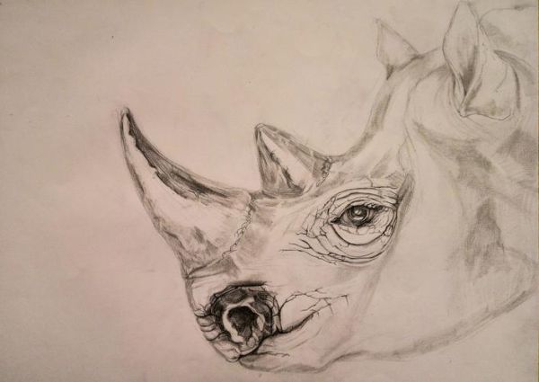 犀利图片大全哪里找_如何下载高清无水印