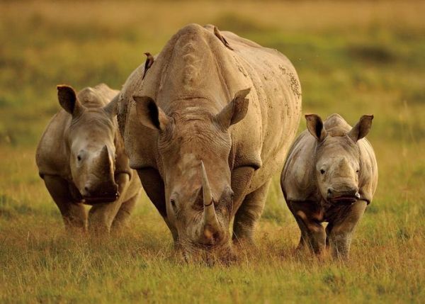 犀利图片大全哪里找_如何下载高清无水印