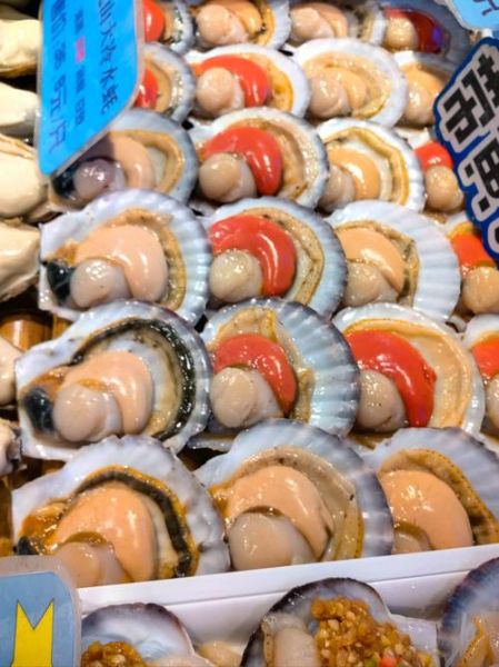 扇贝图片大全_扇贝种类怎么区分