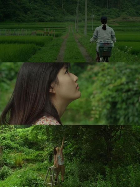 小森林迅雷下载_哪里找高清资源