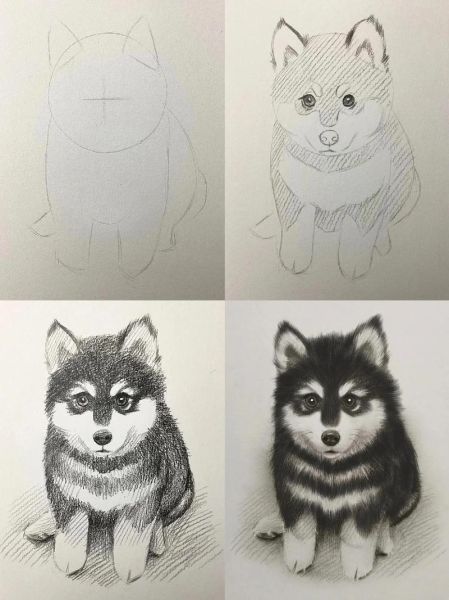 唯美素描画图片大全_初学者临摹步骤