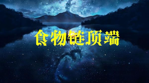 食物链迅雷下载_如何安全获取高清资源