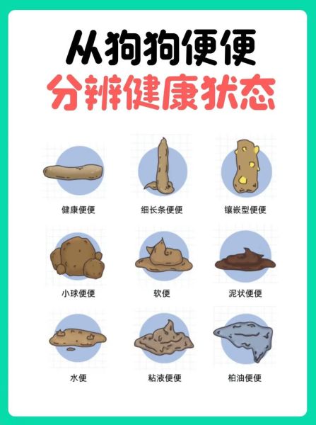 粑粑图片大全_正常大便长什么样