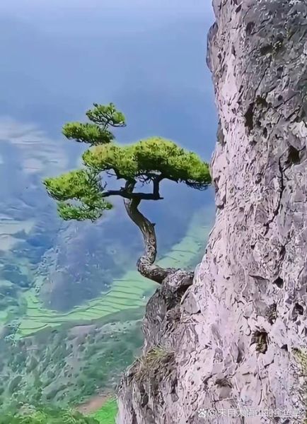 梦到悬崖峭壁是什么意思_梦见自己站在悬崖边怎么办