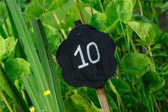 梦到数字是什么意思_梦见数字预示什么