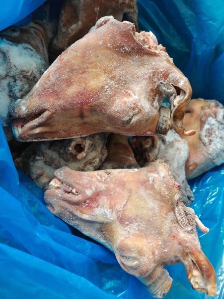 羊头图片大全_羊头高清图哪里找