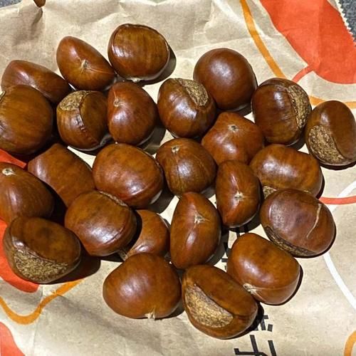 栗子图片大全_如何挑选优质栗子
