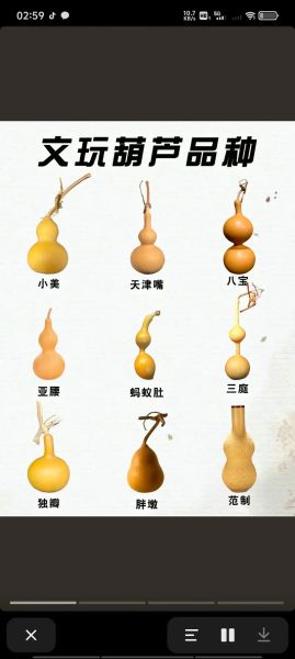 葫芦图片大全_葫芦品种有哪些