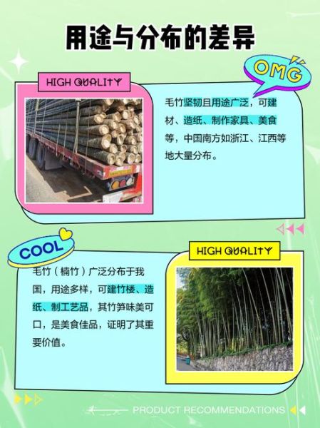 南竹图片大全_南竹和毛竹的区别是什么