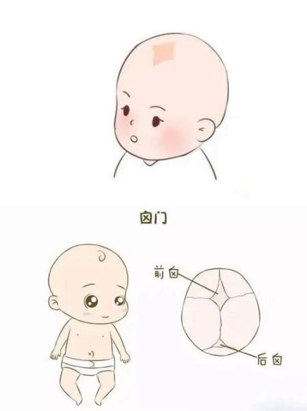 八个月宝宝囟门闭合正常吗_囟门闭合过早怎么办