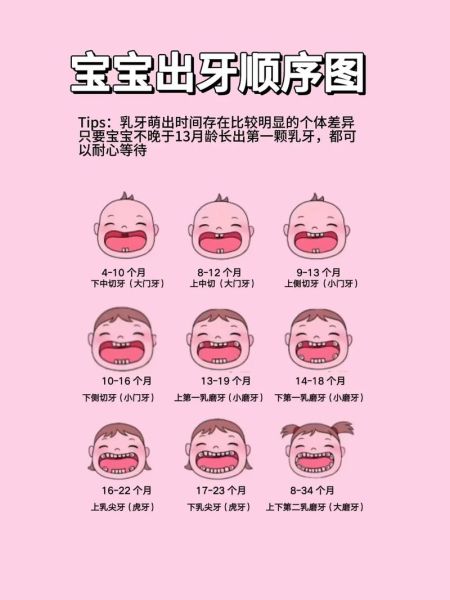宝宝几个月开始长牙_宝宝长牙顺序图