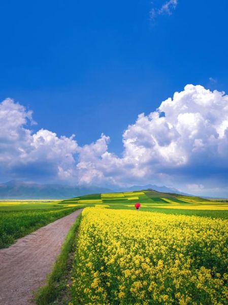 田野图片大全_哪里能免费下载高清原图