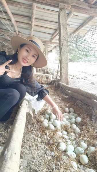 梦到捡鸭蛋是什么意思_捡鸭蛋梦境解析