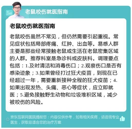 梦到被老鼠咬了是什么意思_周公解梦原版解析