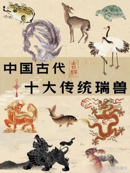 神兽图片大全_如何分辨真假神兽